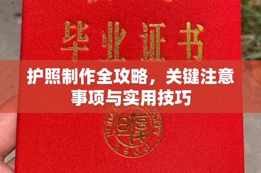 蒸湘护照制作全攻略，关键注意事项与实用技巧