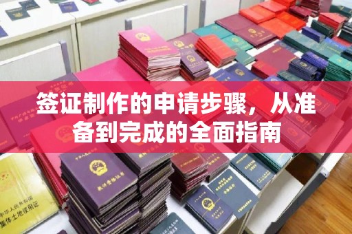 浉河签证制作的申请步骤，从准备到完成的全面指南